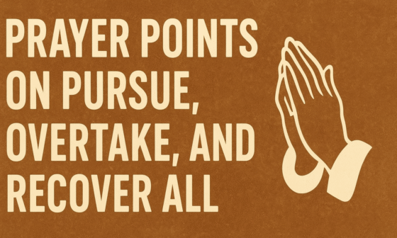 Prayer Points on Pursue Overtake  and Recover All