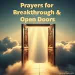 d6ccb1a8-c3db-4713-b570-fcfc7a8fce60