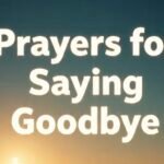 419ab767-d02f-4529-a95f-8f34d1d6ccf8